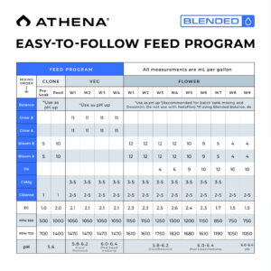 Athena Blended Line Starter Kit