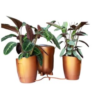 AutoPot Khloris Watering System - RAME