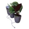 AutoPot Khloris Watering System - VIOLA