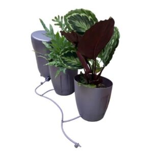 AutoPot Khloris Watering System - VIOLA