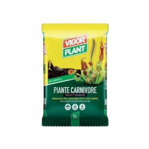 Vigorplant Piante Carnivore