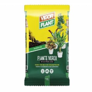 Vigorplant Piante Verdi