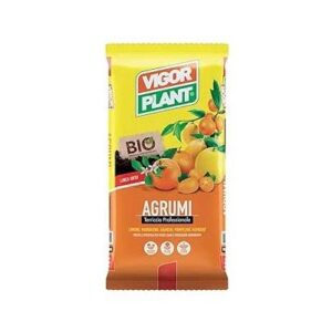 Vigorplant Terriccio per Agrumi