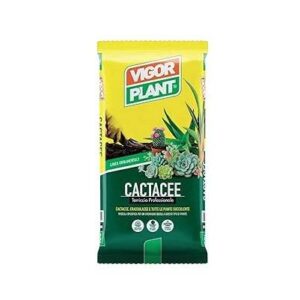 Vigorplant Terriccio per Cactacee