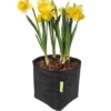 Garden Highpro PROPOT