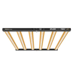Dimlux Xplore Series LED 730W