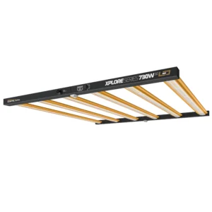 Dimlux Xplore Series LED 730W
