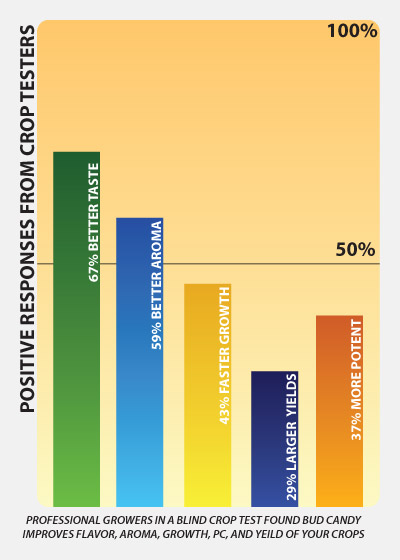 Bud-Candy-charts-graphs