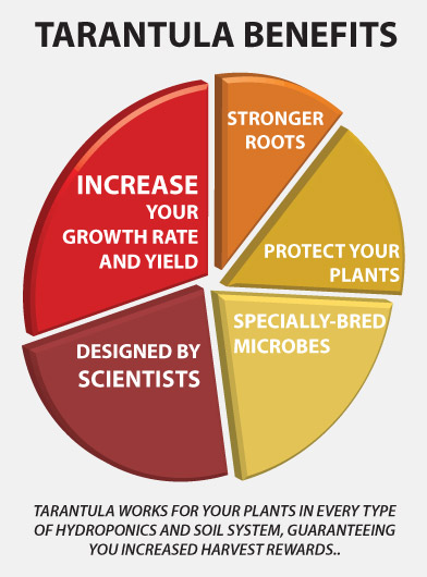 Tarantula-charts-graphs