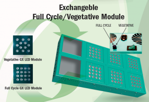 1_Exchangeable_Modules