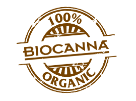 biocanna-products_content_1